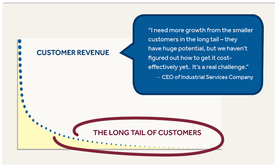 Unlocking Value in the “Long Tail” of Smaller Customers – Leveraging the Power of AI and Cohort Clustering