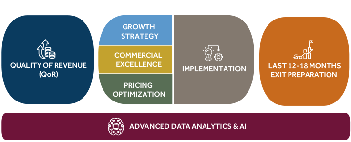 Blue Ridge Partners Service Offering Flow Chart_Nov 2024